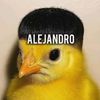 alejandro.torrejo07