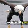 sonmesaj001