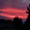 cymera_myler