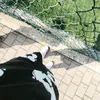 fra_zon8