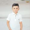 amira.hreizat