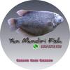 Yan mandiri fish