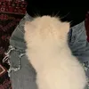 lcipcl