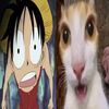 satinnchinoo