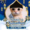 fajar.maulana9896