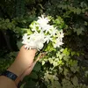 wws00001