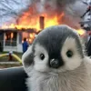 birxhtree
