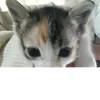 loan.nguyeen3