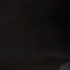 cypa_flsha