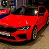 sergeevich8831