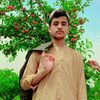 rozi.khilji786