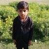 amjad.amjad.srawa