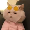 neoynei