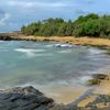 homalja_0479