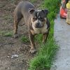 carlos.martinez5920
