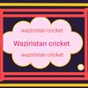 waziristan.cricket