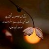 khuram4082