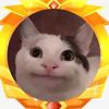 vincent00772
