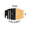 Pitch Side Gallery