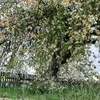 user2319313116552