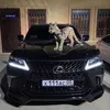 kazimova_43