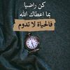aseel00040