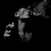 reyhan_8002