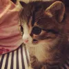 su.ziuu