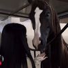sarab_080