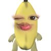 yapinisalsa