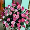nghean_27