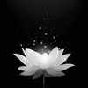 phong_92e1