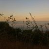 artem_loh1337