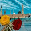 rasheed.ahmed548