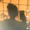 user7613823922012