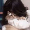 your__saru0777