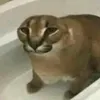 chiyeumoiminhemthoii1