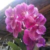 u.ko.naing449