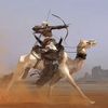 شامخ حرب(النافعي)