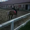 eqellis