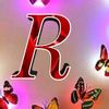 user156800703880
