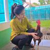 puntadewa186