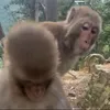 ilovetiktok.heheee