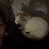 kittysalyxxp