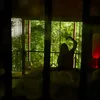 inox.whity
