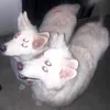 its_a.fox