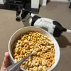 erictheguywhodoesthings