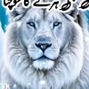 abubaker8862