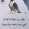 useamare2