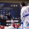 karate_wkf.05dag